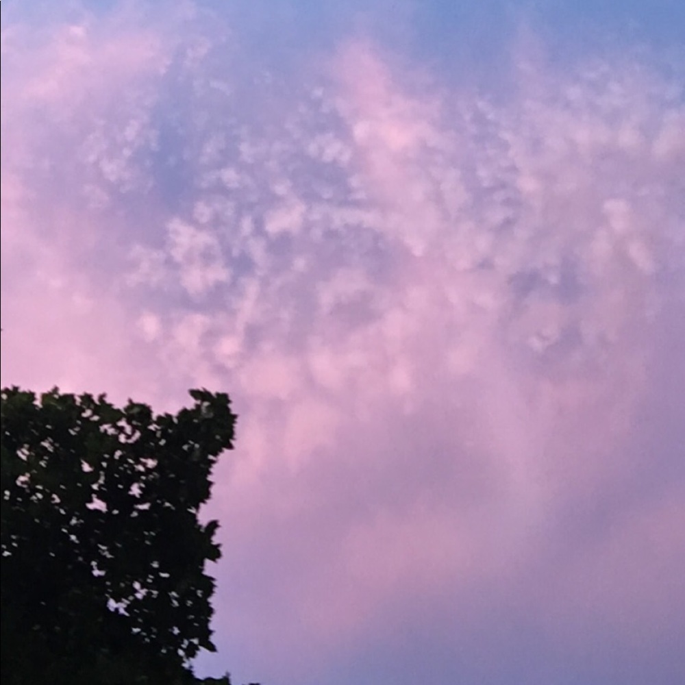 Meet your Posher, Sophia